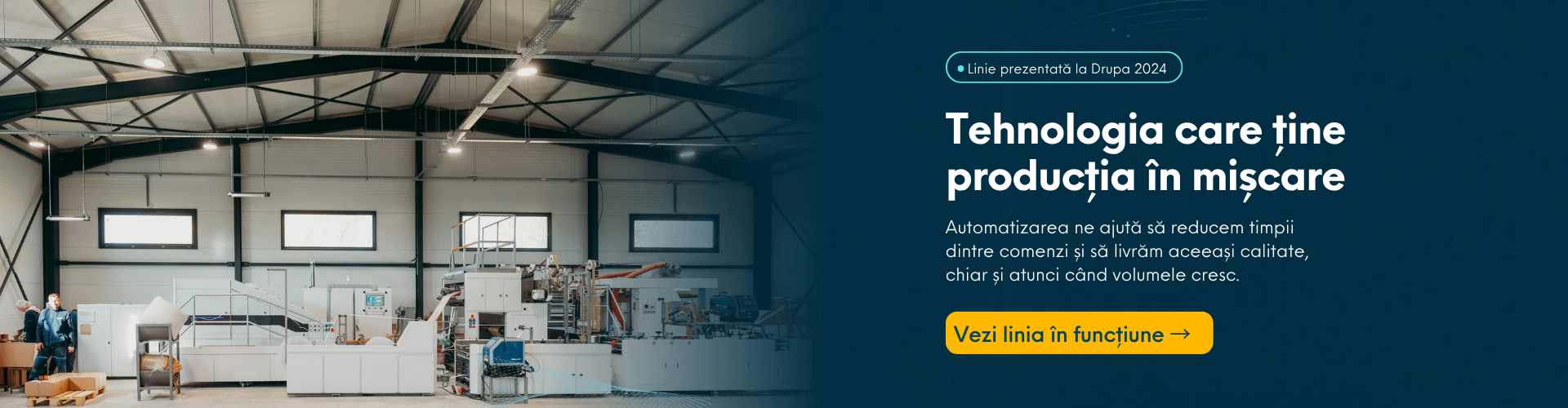 Tehnologia care ține producția în mișcare - FlexoMatei